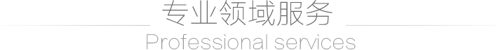 專業領域服務